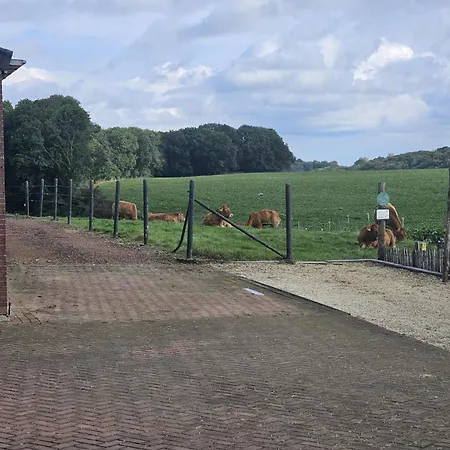Holiday home Logeren Bij Laura *